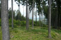 /album/fotogalerie-stromy-a-jejich-leciva-energie1/farma-033-jpg2/